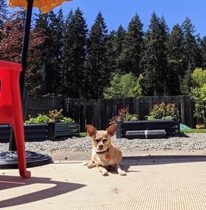 Meet your Posher, Sue